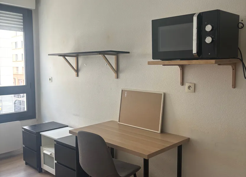 Flat Rue Marc Bloch in Lyon