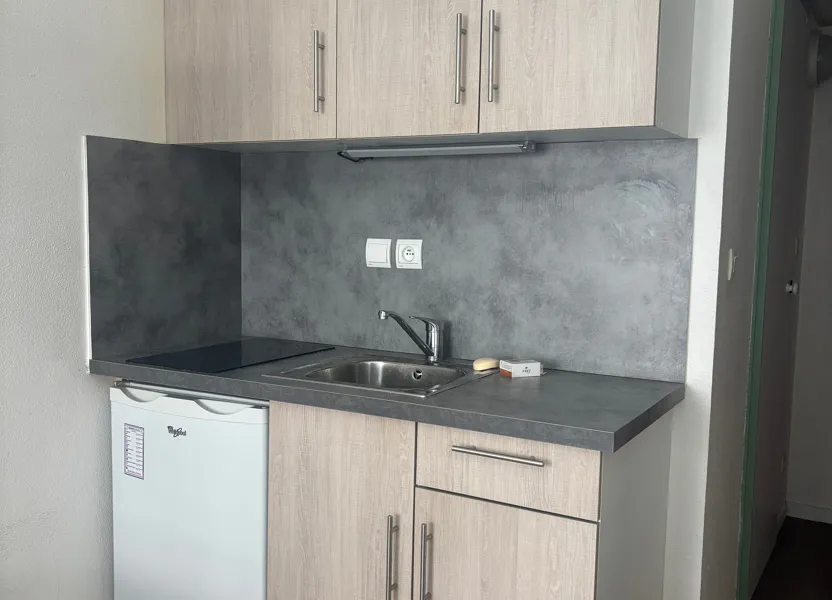 Flat Rue Marc Bloch in Lyon