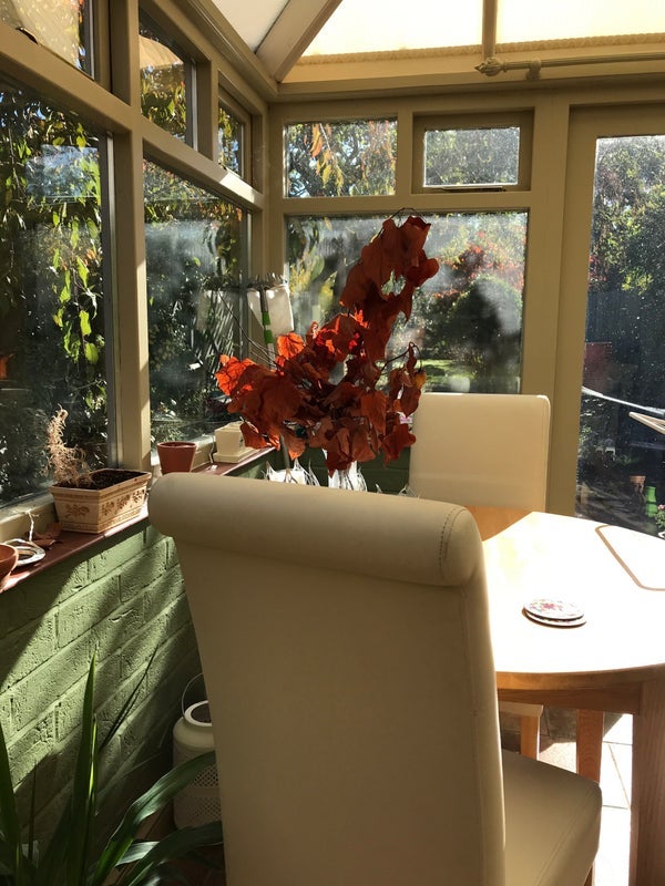 Room Hallfields Lane in Charnwood