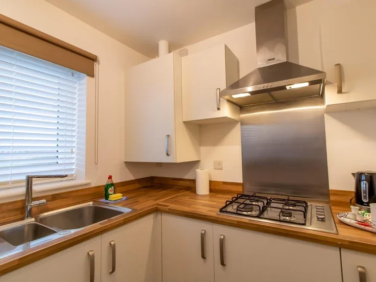 Flat Snowdrop Close in Newsham