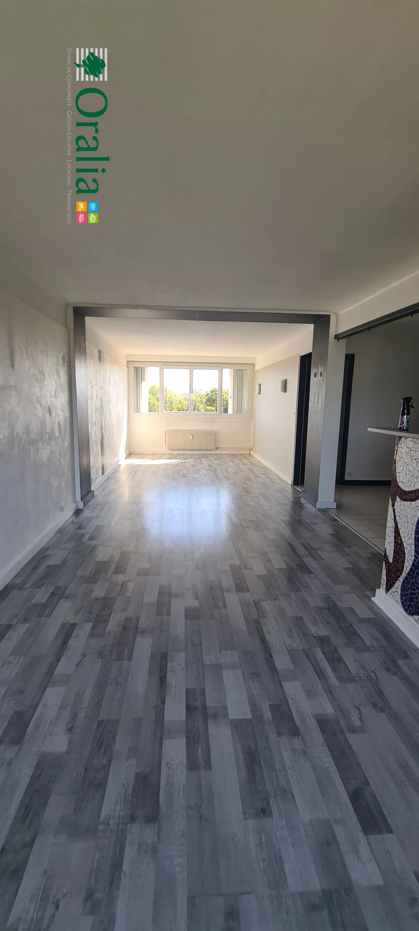 Appartement Chemin de la Creuzette à Fontaines-sur-Saône