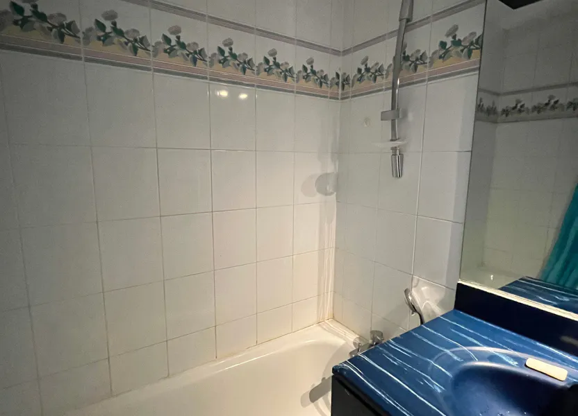 Appartement Rue du Docteur Bonhomme à Lyon