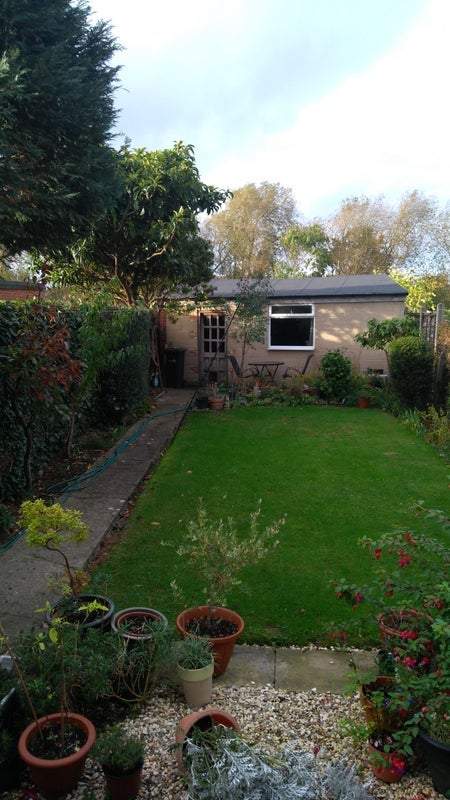 Room Princes Avenue in Greater London