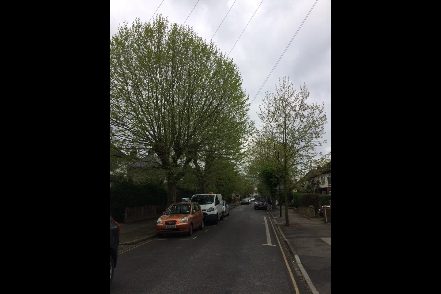 Flat Cricket Green in Greater London