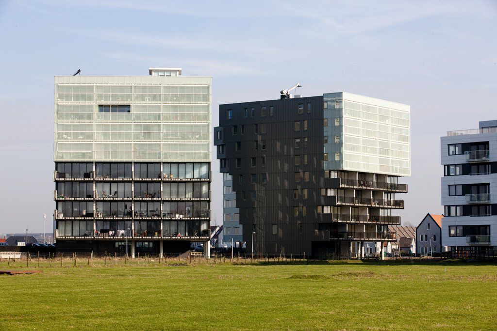 Flat Luzernevlinder in Utrecht