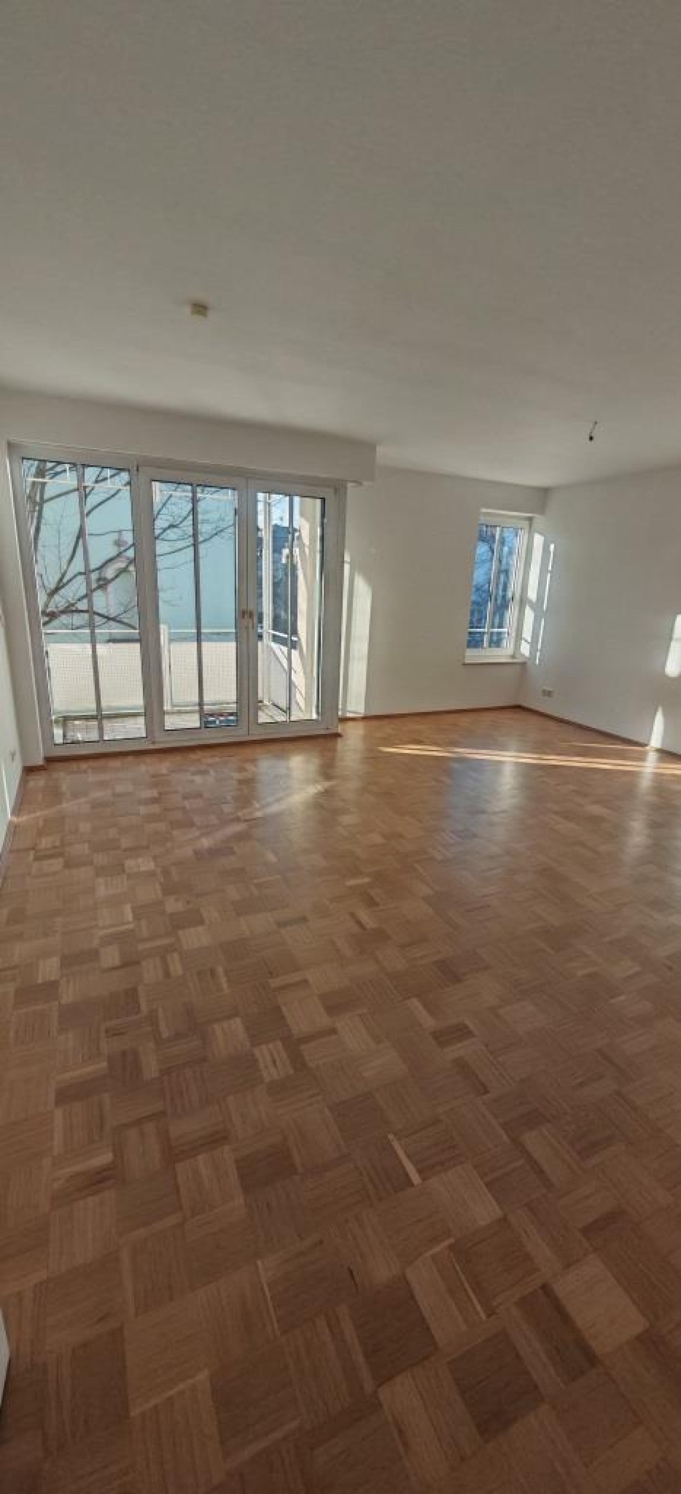 Wohnung Schlüterstraße in Dresden