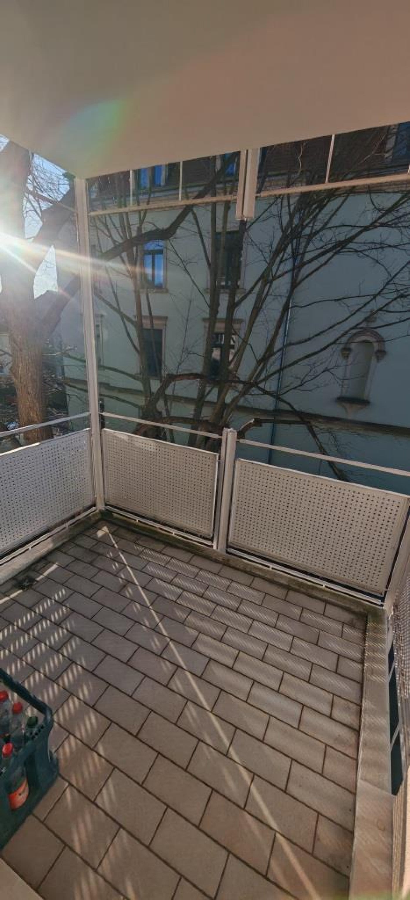 Wohnung Schlüterstraße in Dresden