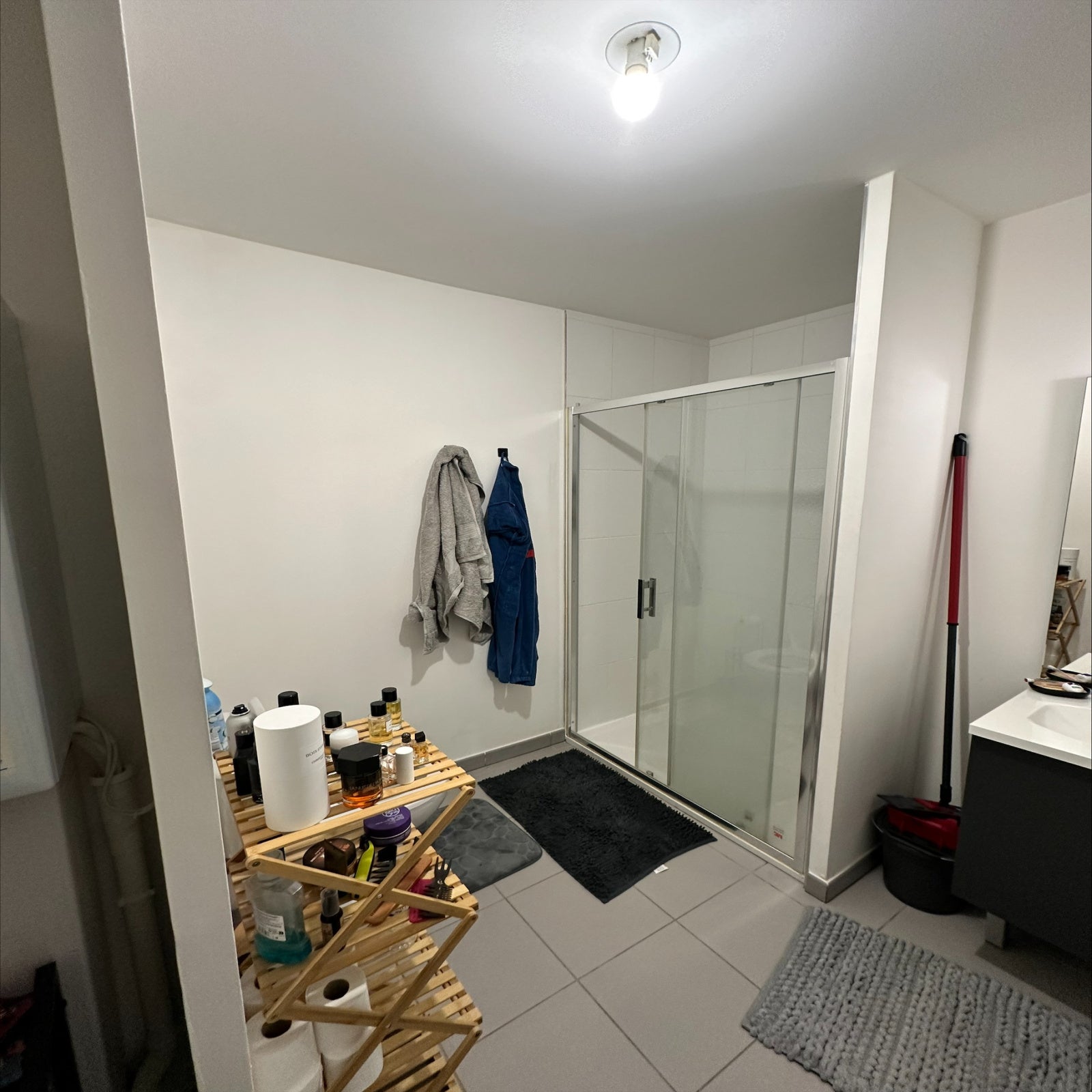 Appartement Avenue Paul Santy à Lyon