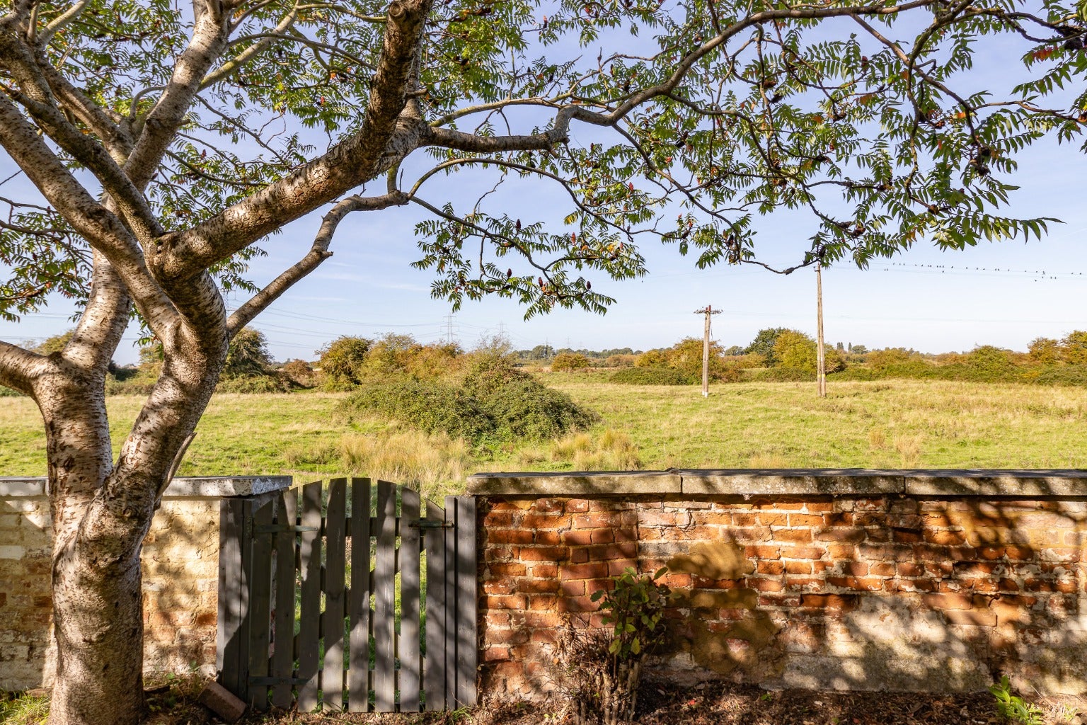 House Silver Tree Way in King's Lynn and West Norfolk