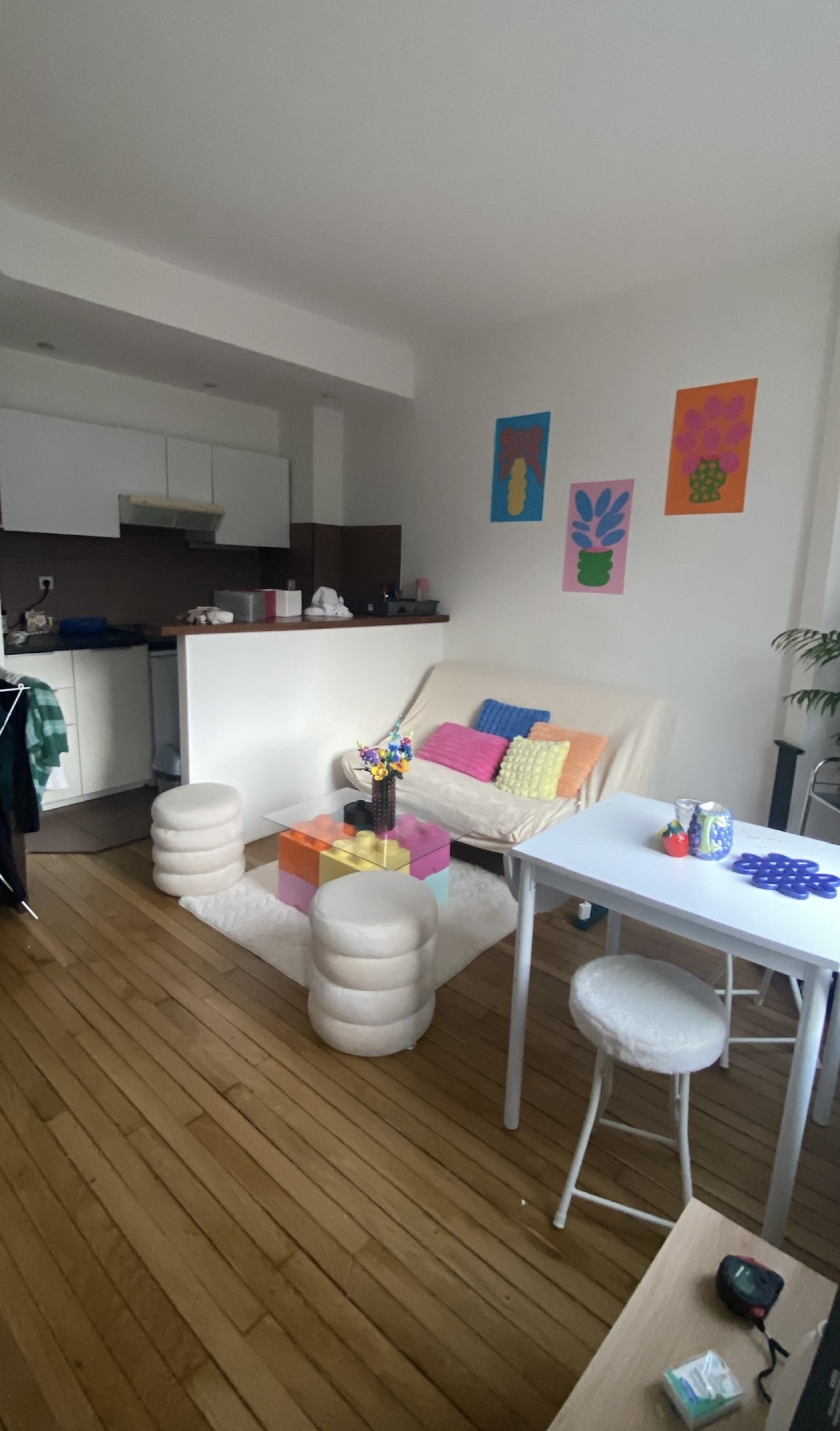 Flat Rue Pichon in Nancy