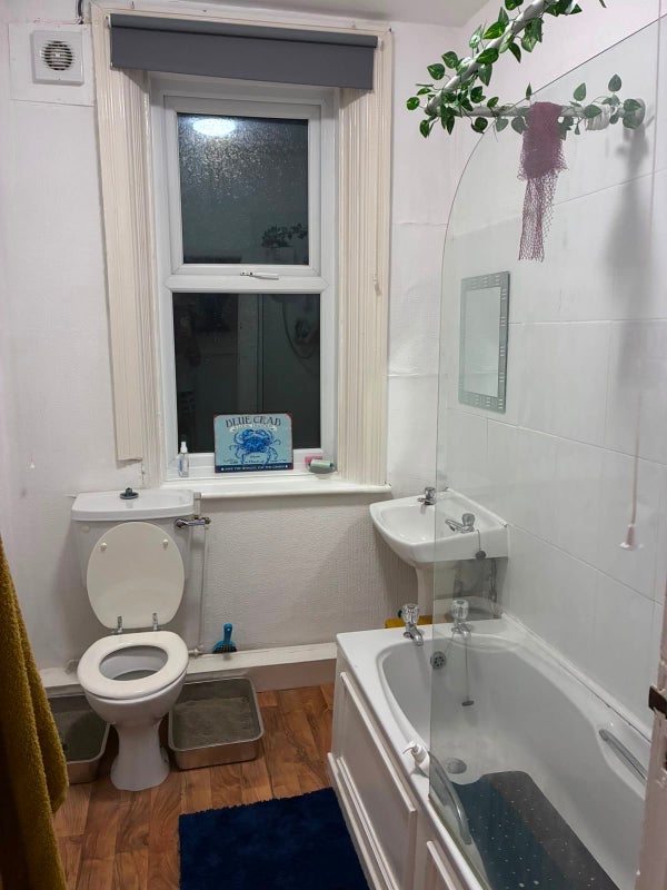 Room Queens Road in Newcastle upon Tyne