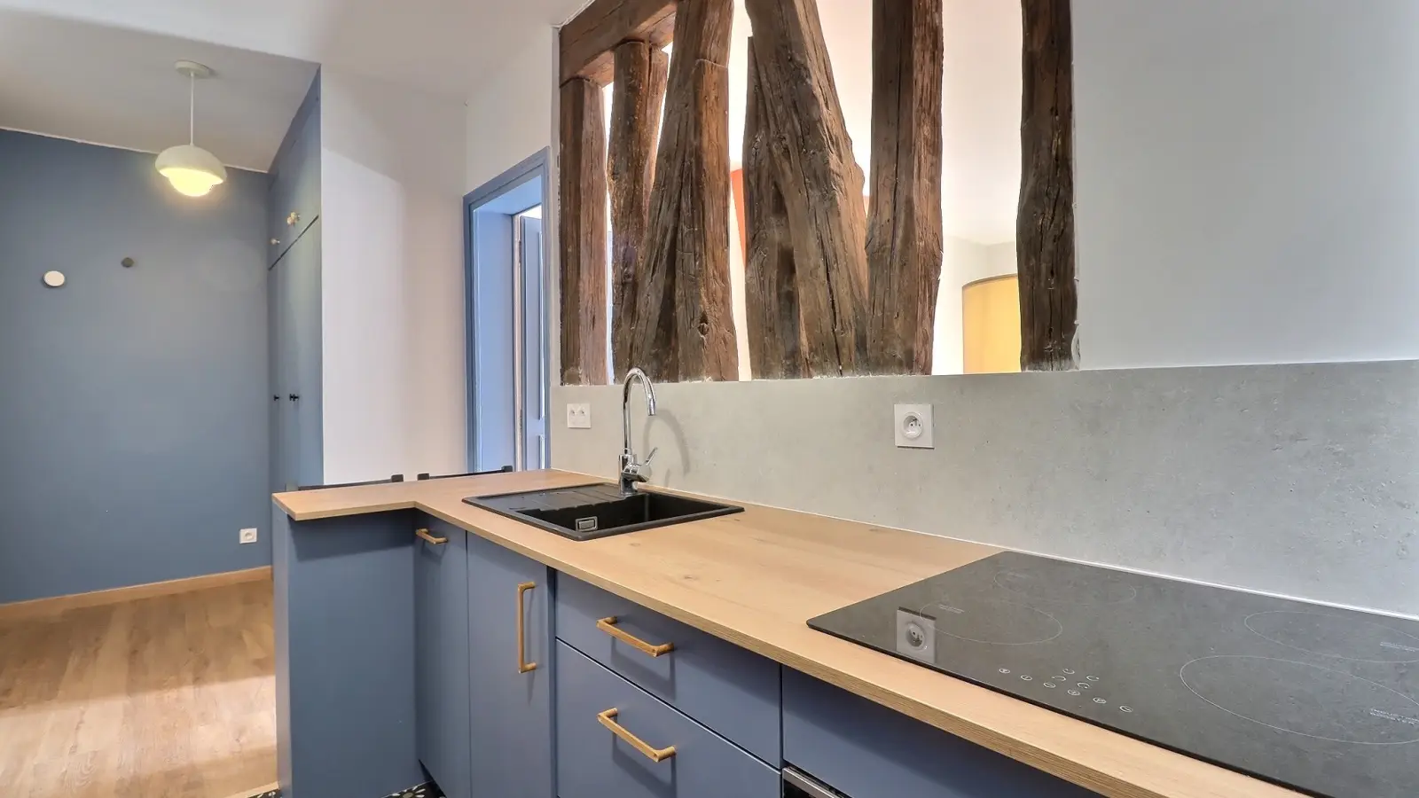 Flat Rue Crozatier in Paris