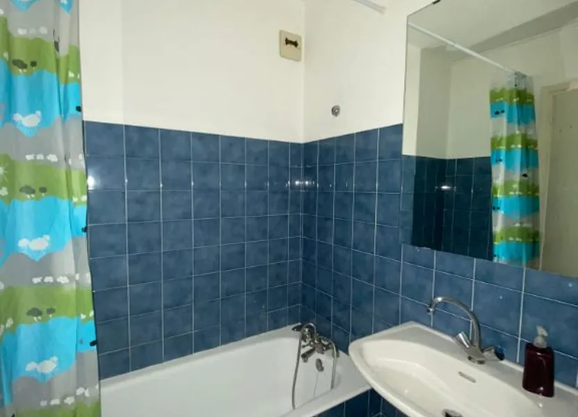 Appartement Rue Clément Michut à Villeurbanne