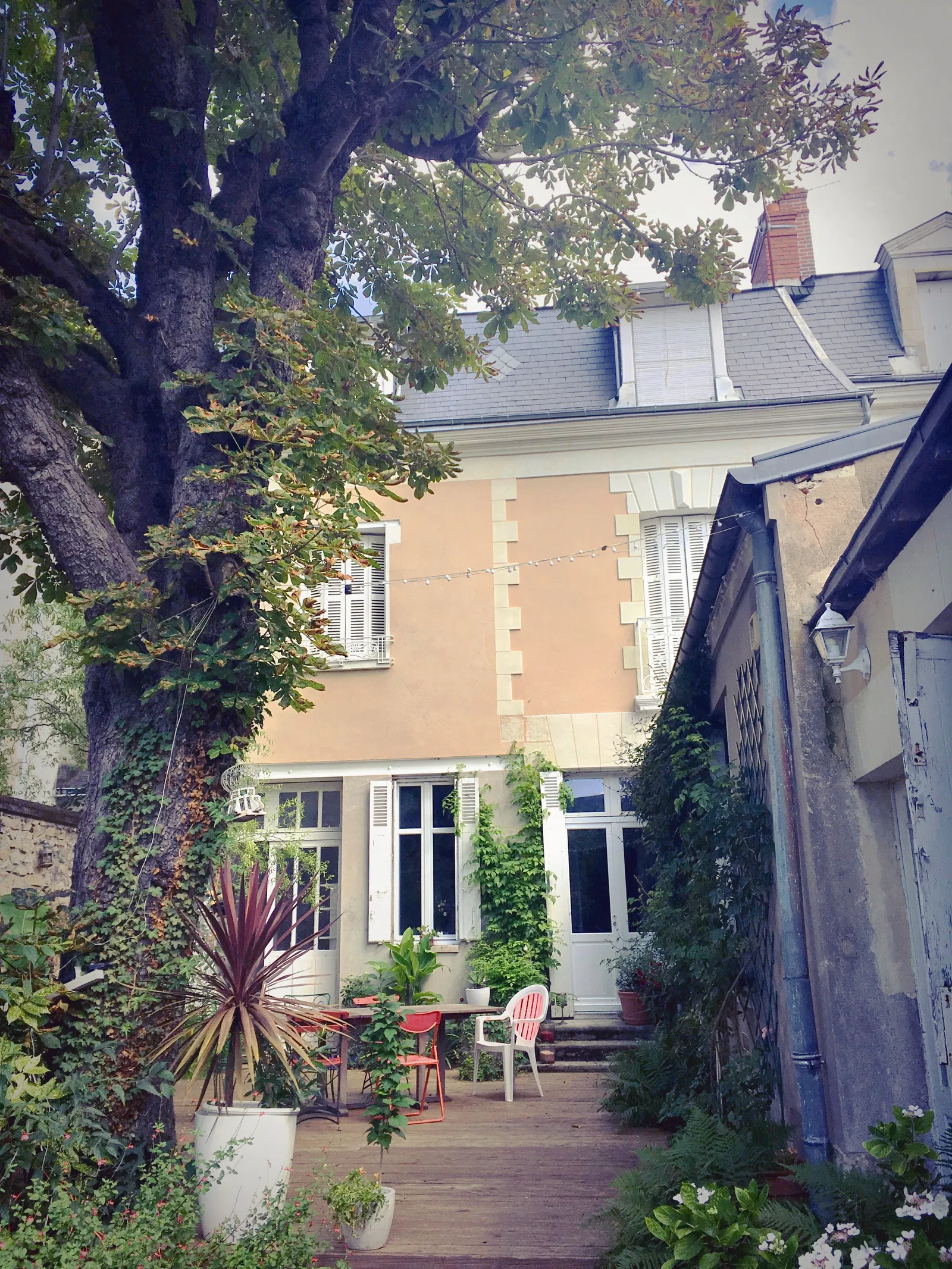 Room Rue Giraudeau in Tours