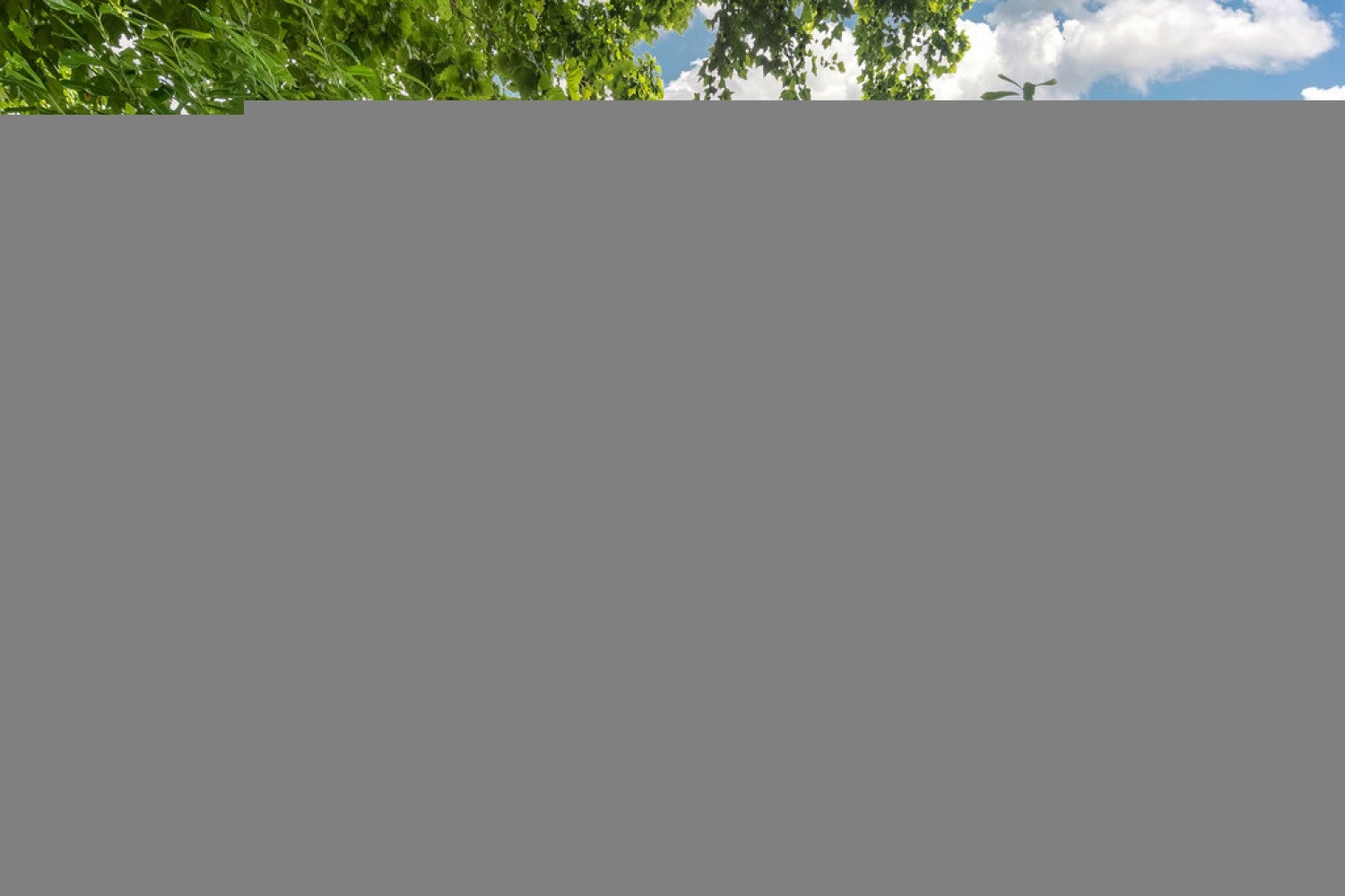 Flat Hortensia Road in Greater London