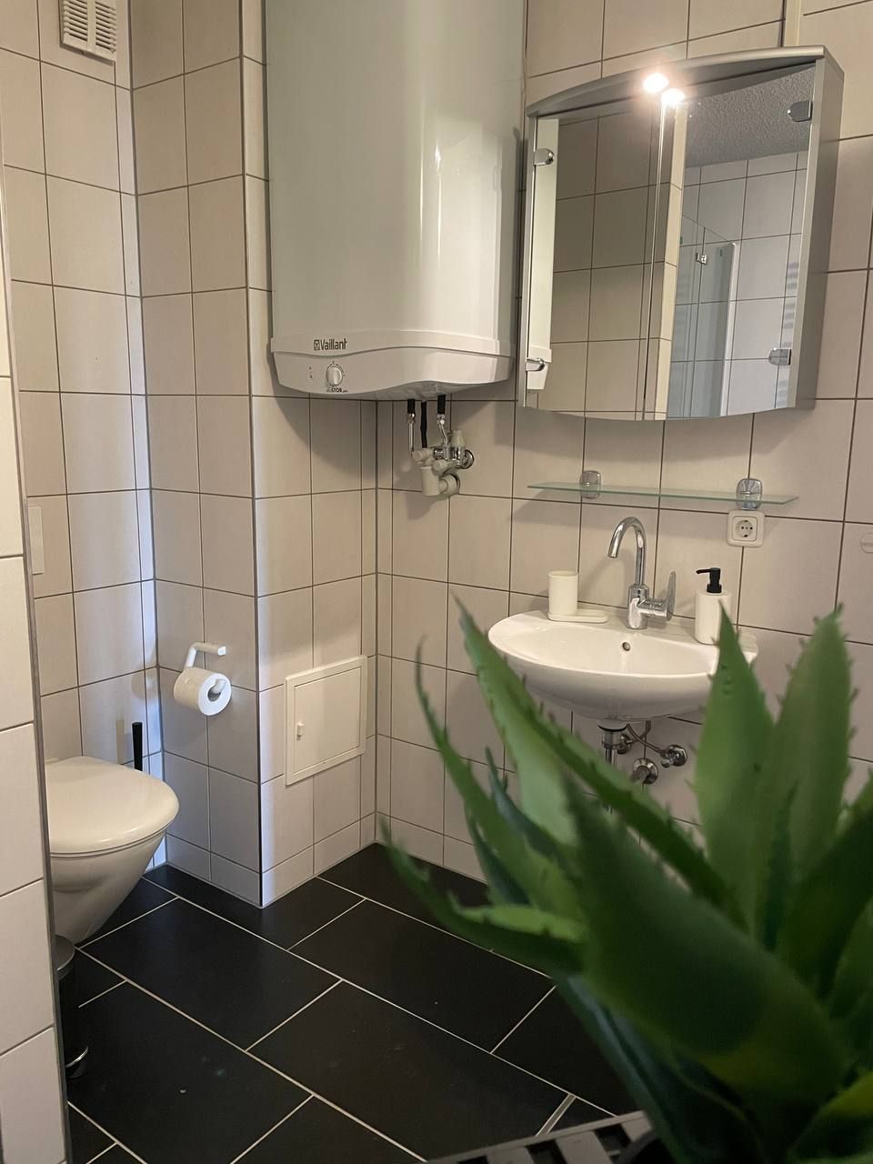 Wohnung Dresdner Straße in Neustadt in Sachsen