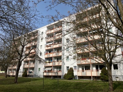 Haus Johannes-Thal-Straße in Nordhausen