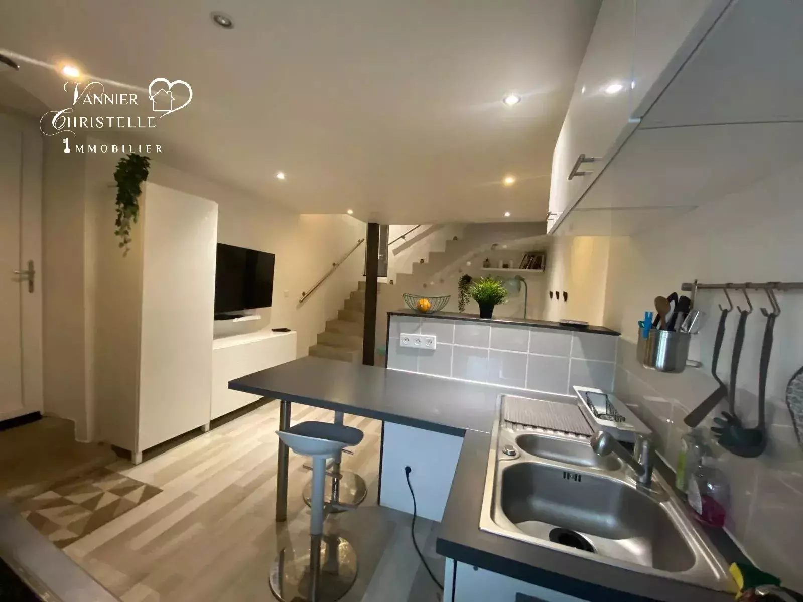 Appartement Quai Paul Leger à Évian-les-Bains