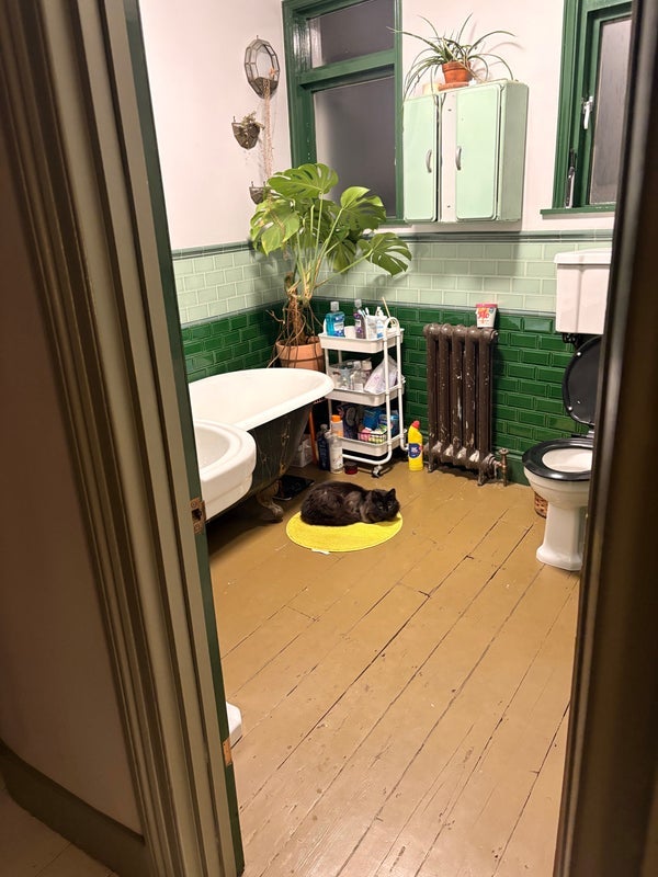 Room Elmcroft Street in Greater London