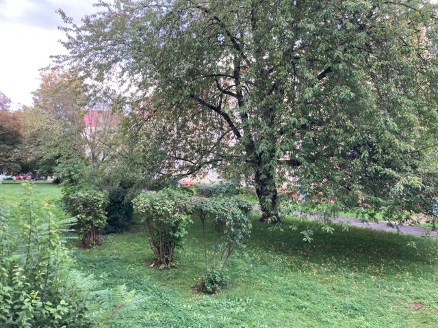 Wohnung Heldrunger Straße in Weimar
