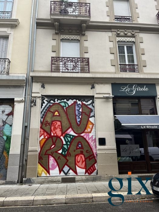 Appartement Rue du Docteur Mazet à Grenoble