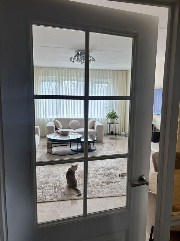 Appartement Aurikelstraat 6