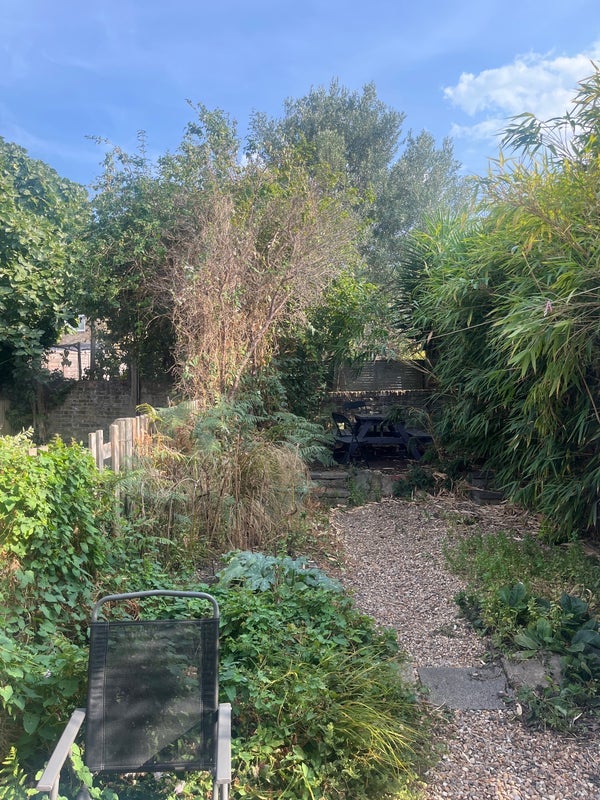 Room Ventnor Road in Greater London