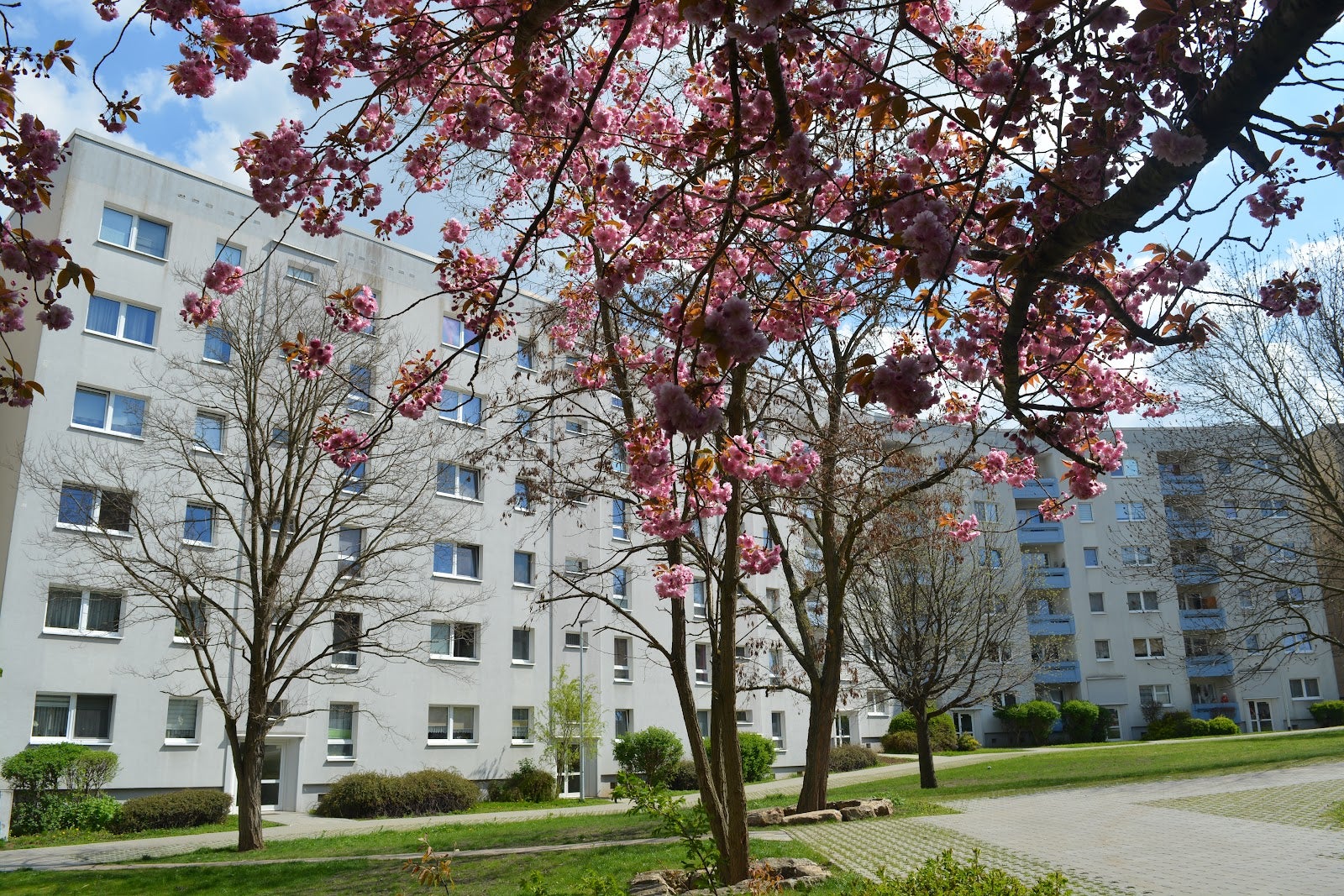 Wohnung Ernst-Abbe-Straße in Erfurt