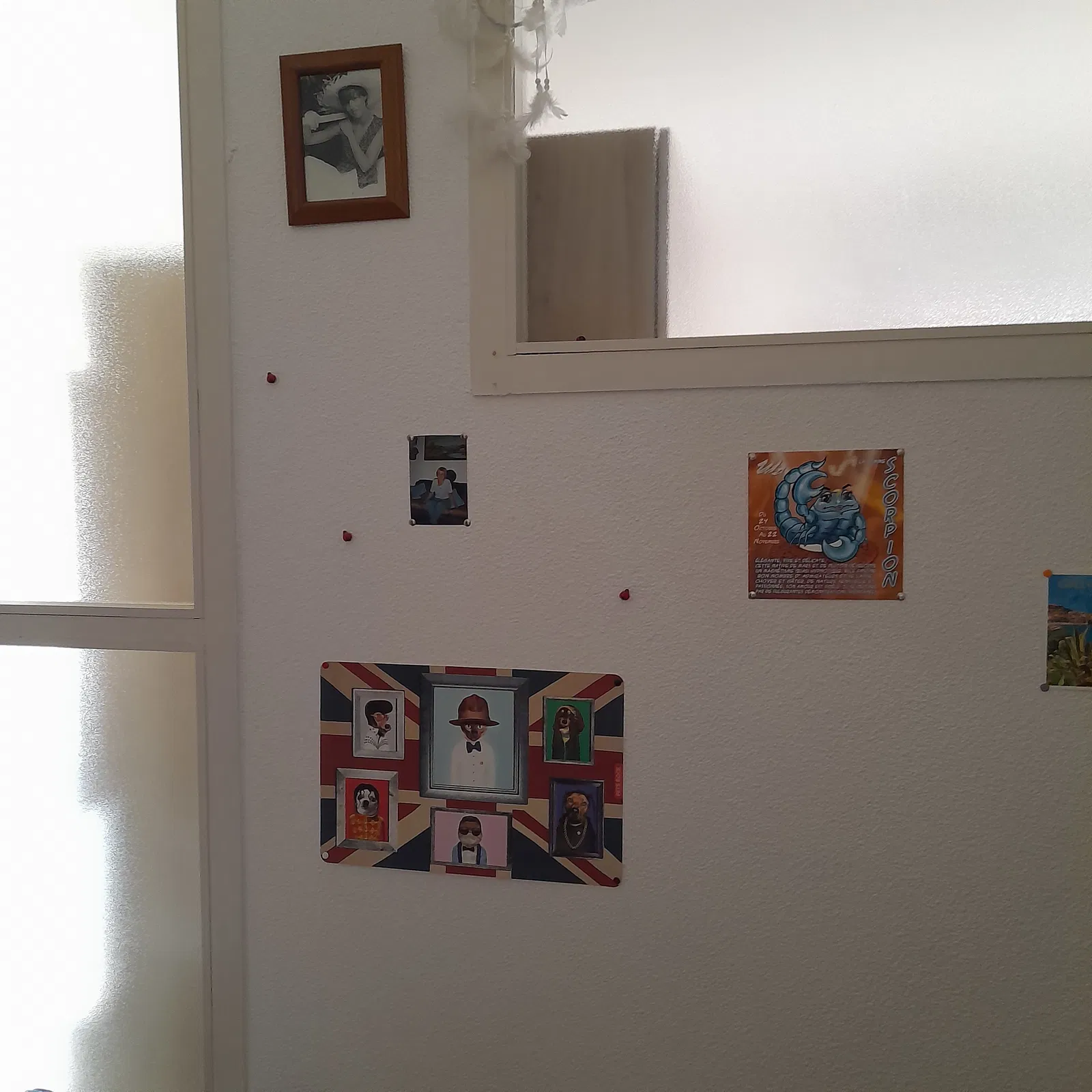 Room Esplanade Méditerranée in Perpignan