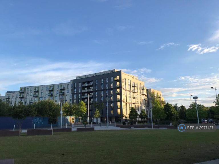 Flat The Ashes in Birmingham