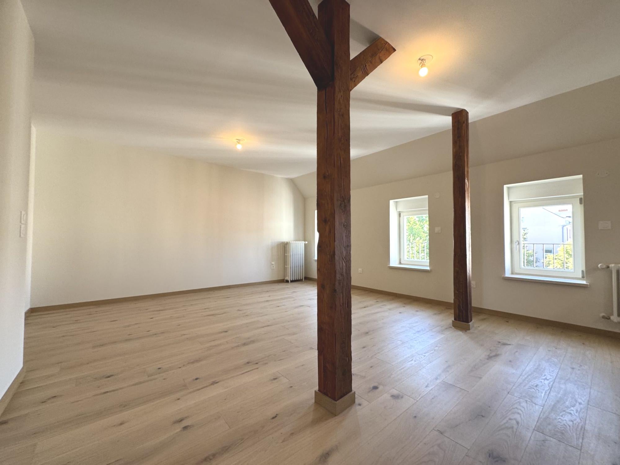 Flat Rue Fischart in Strasbourg
