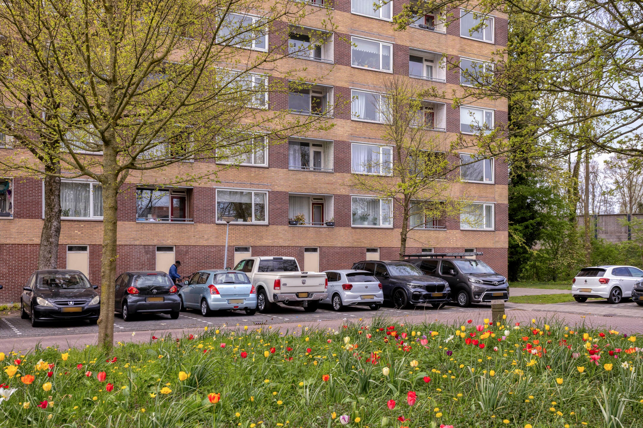 Appartement Fluitekruidweg 17 in Zaandam