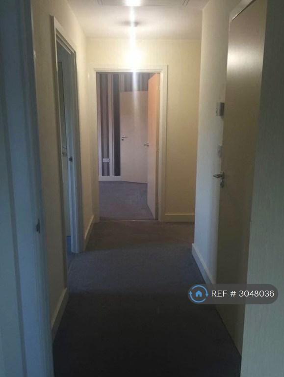 Flat Silver Streak Way in Strood