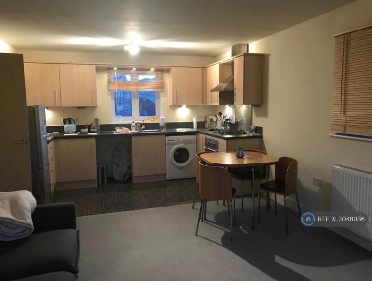 Flat Silver Streak Way in Strood