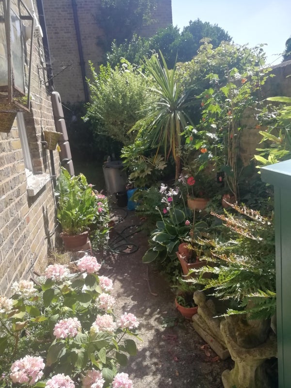 Room Grayshott Road in Greater London