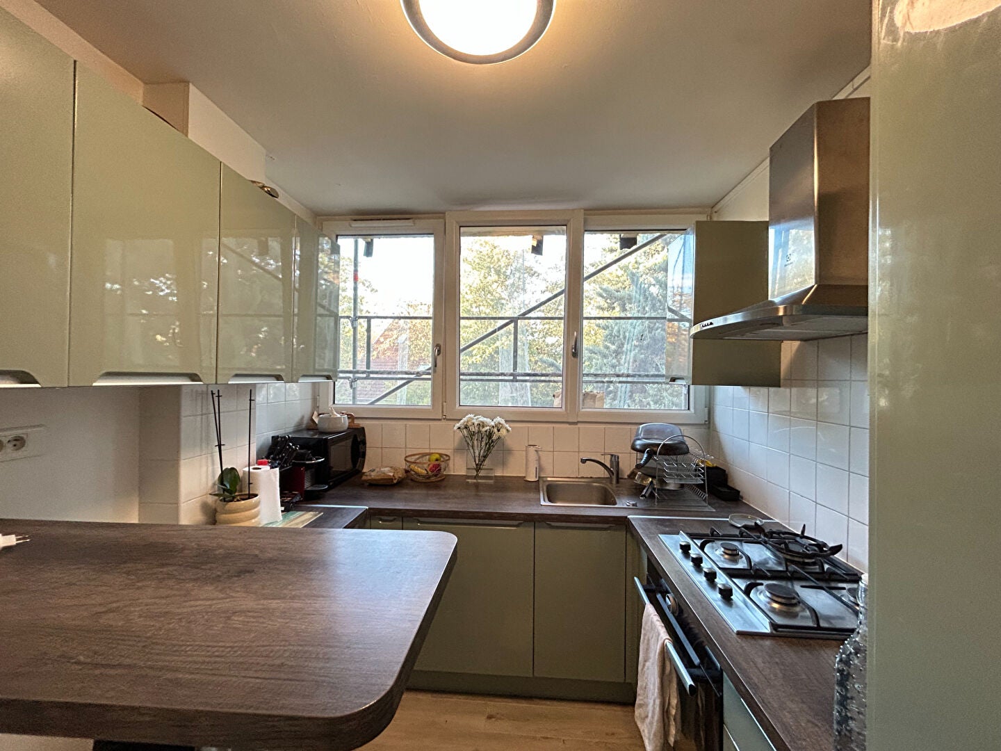 Appartement Rue Carnot à Palaiseau