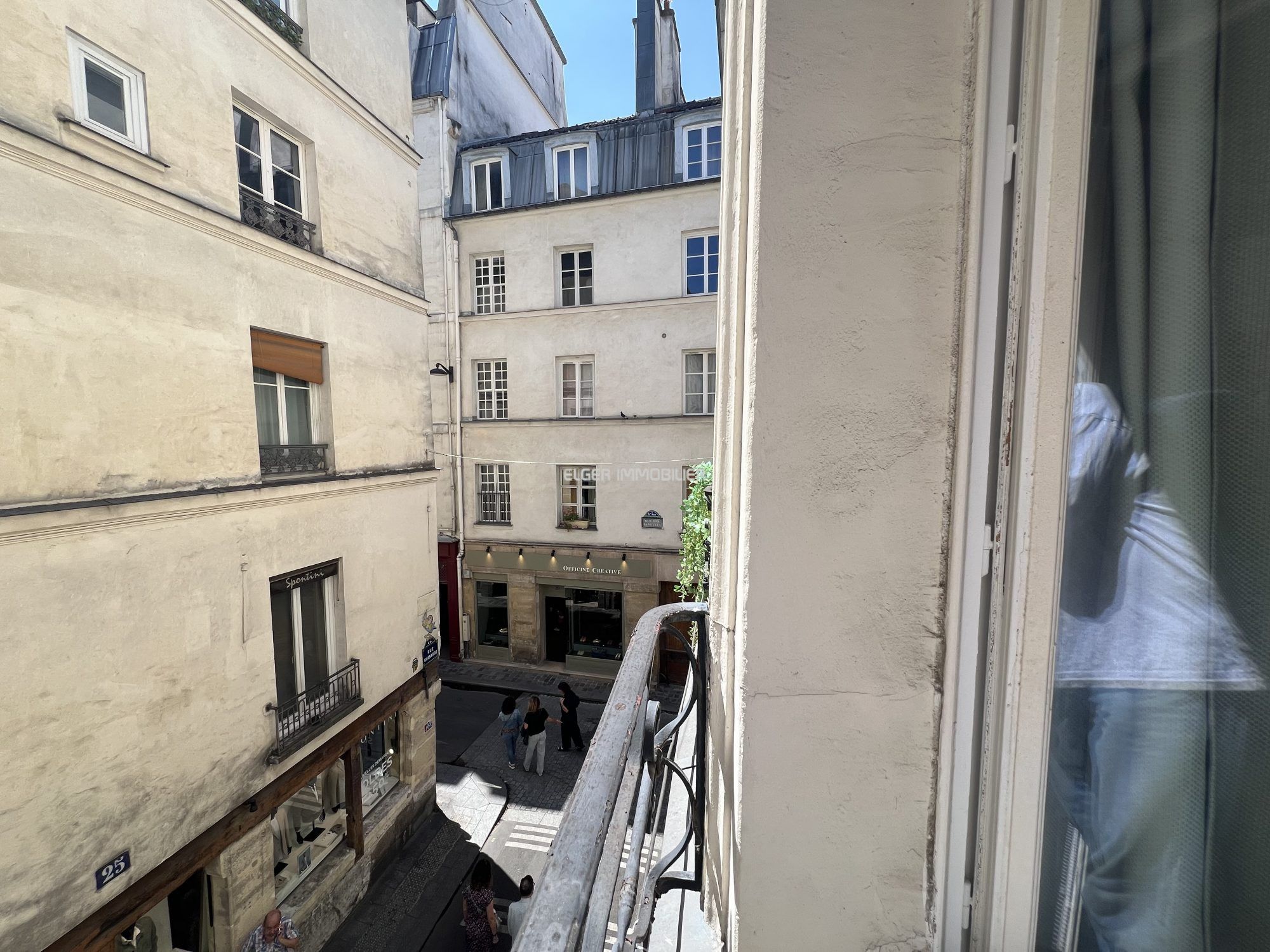 Flat Rue Guisarde in Paris