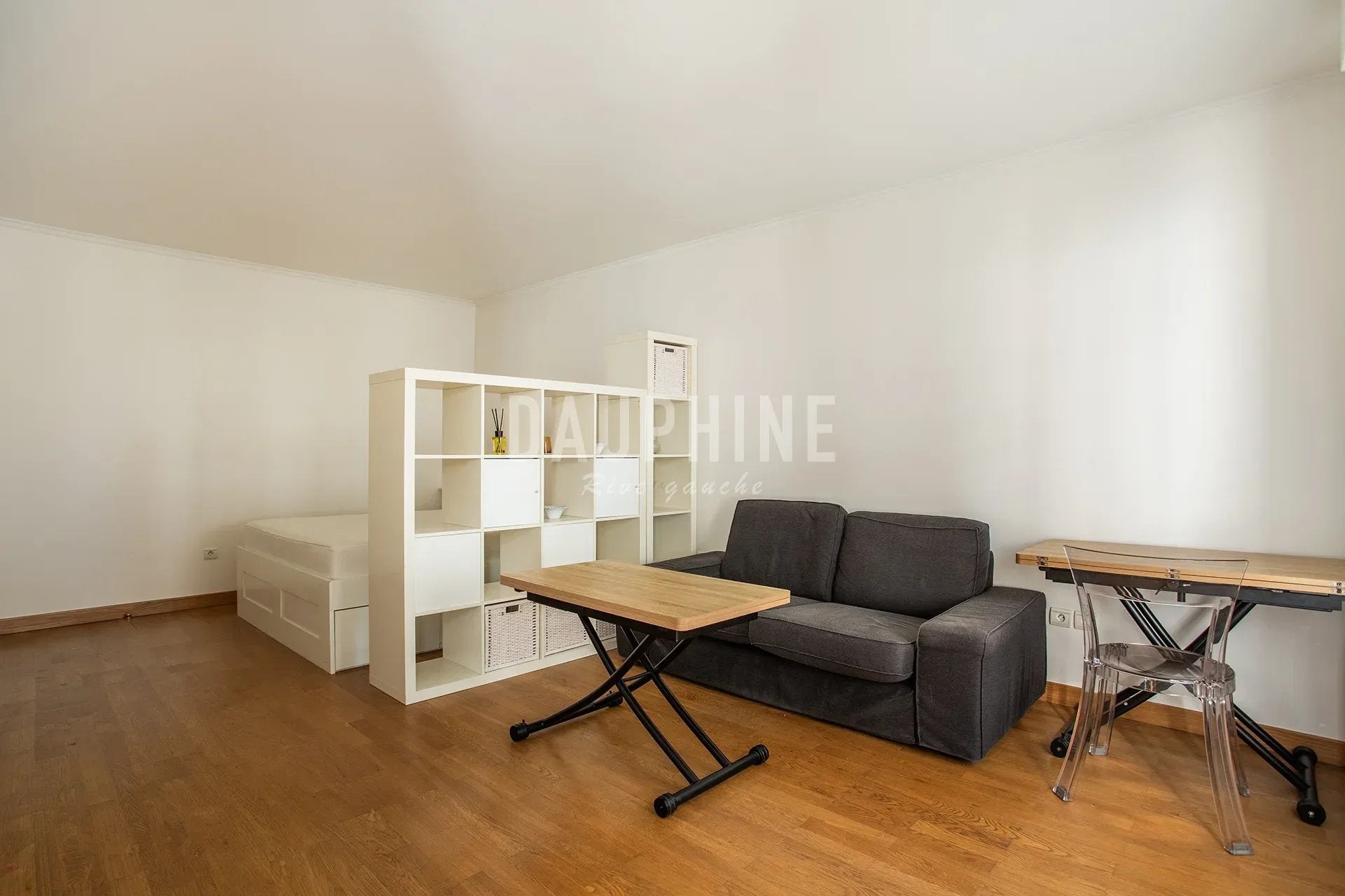 Flat Quai de Conti in Paris