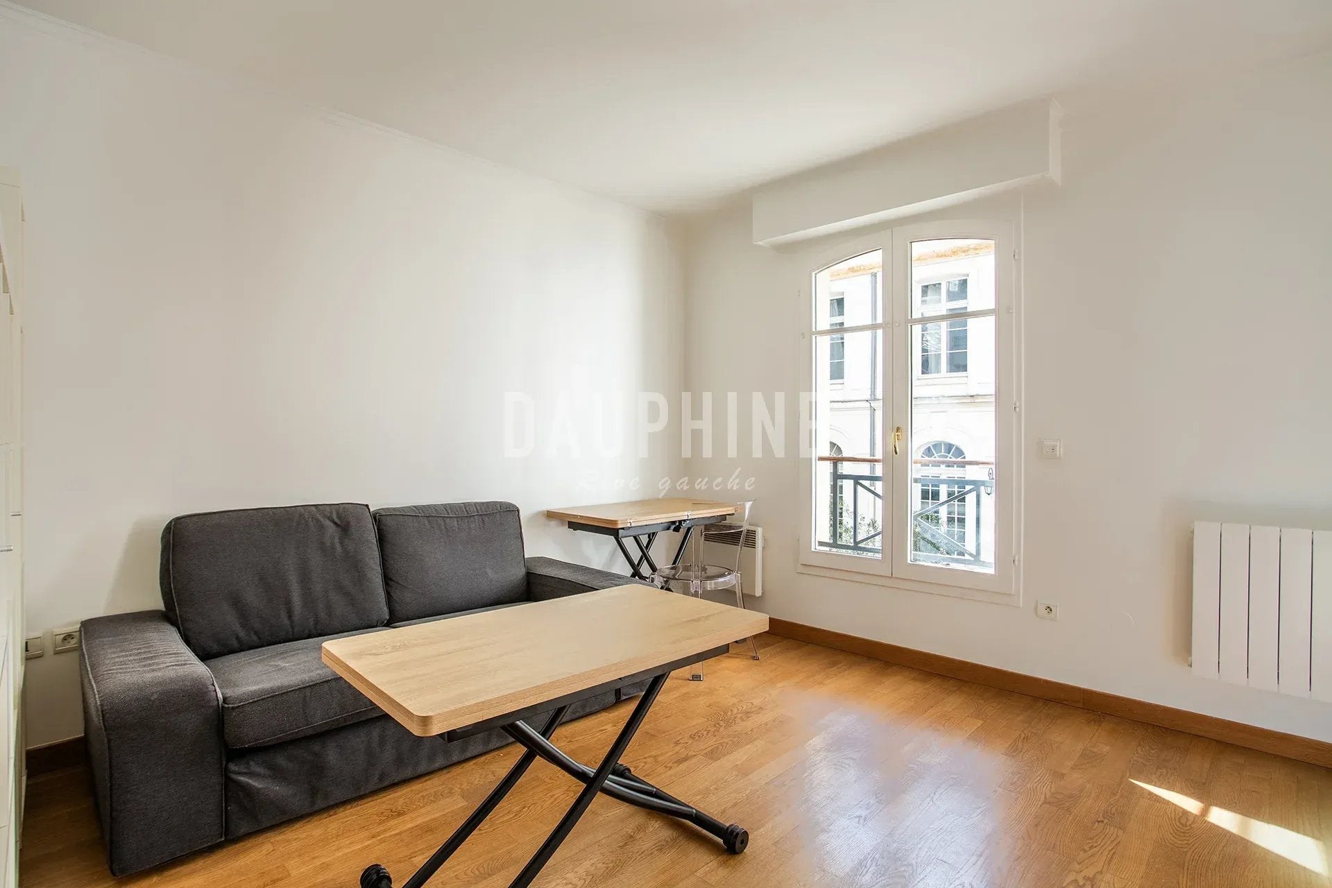 Flat Quai de Conti in Paris