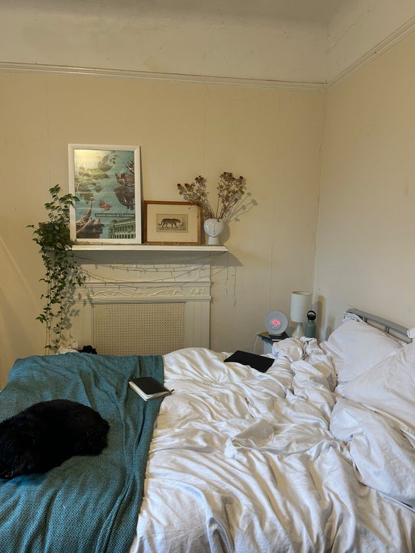 Room Herne Hill in Greater London