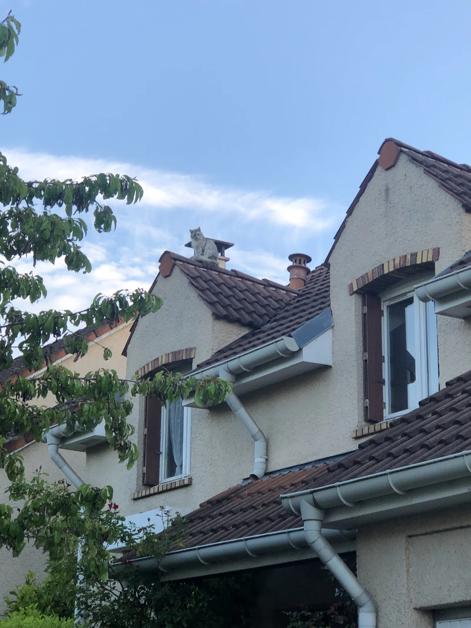 Chambre Impasse de la Fontaine de la Coulette à Villepreux