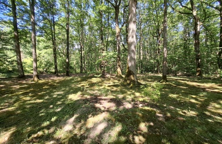 Flat Route de la Brosse in Chevreuse