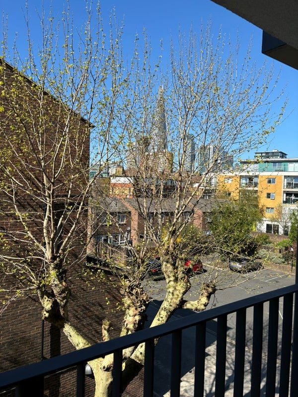 Flat Rothsay Street in Greater London