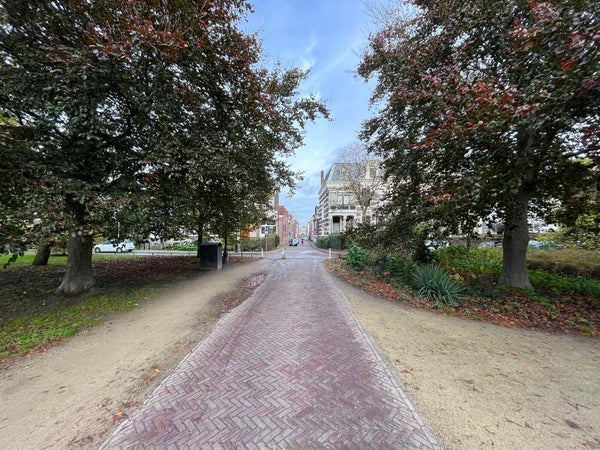 Room Levendaal in Leiden