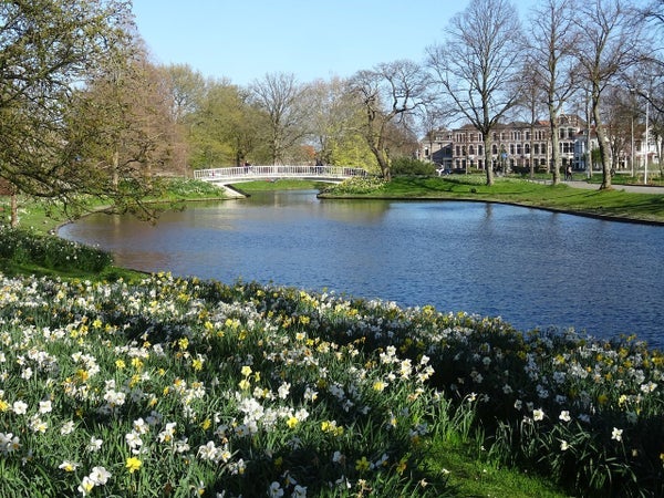 Kamer Levendaal in Leiden