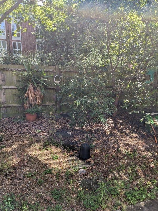 Room Reedham Close in Greater London