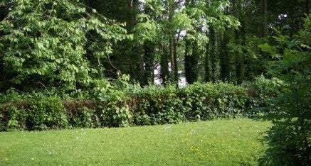 Flat Stranmillis Court in Belfast