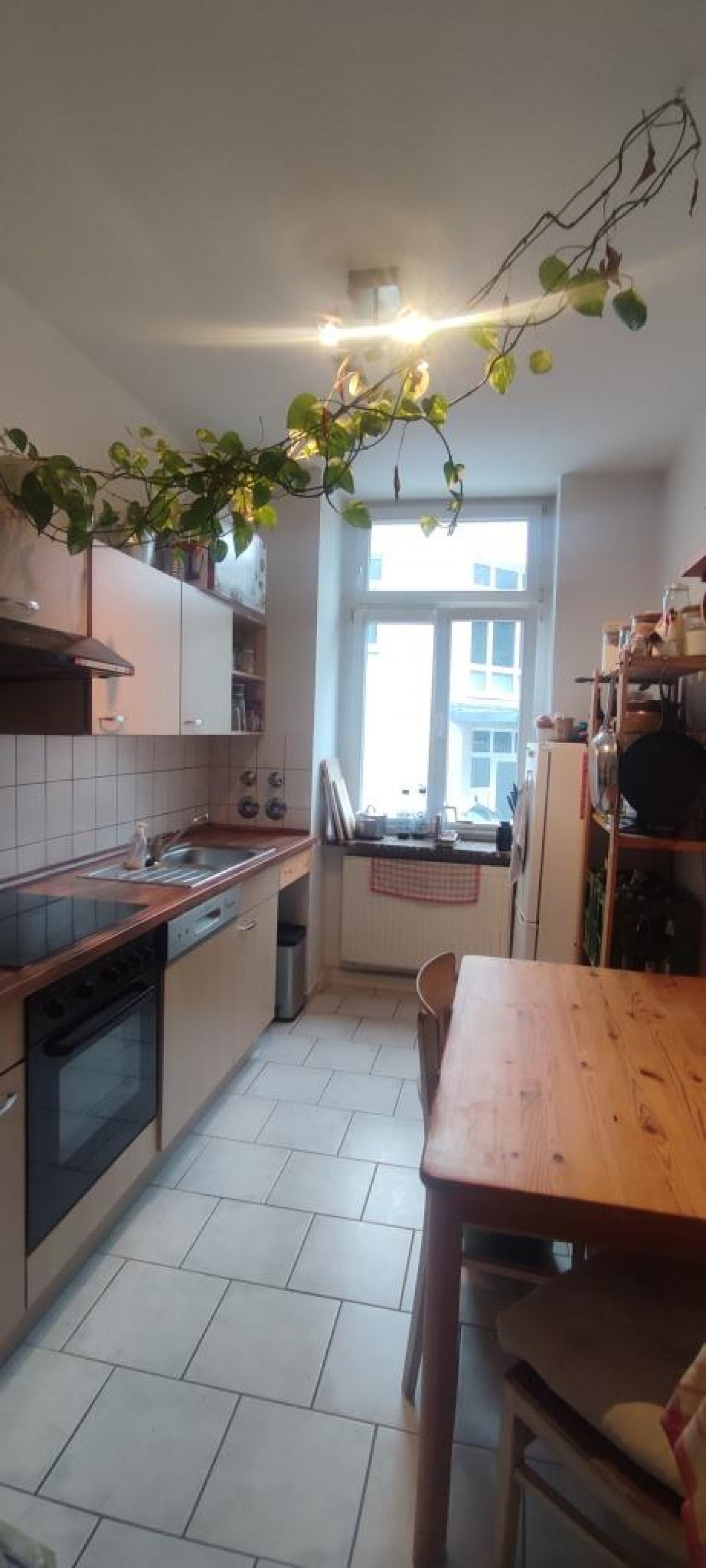 Wohnung Glashütter Straße in Dresden