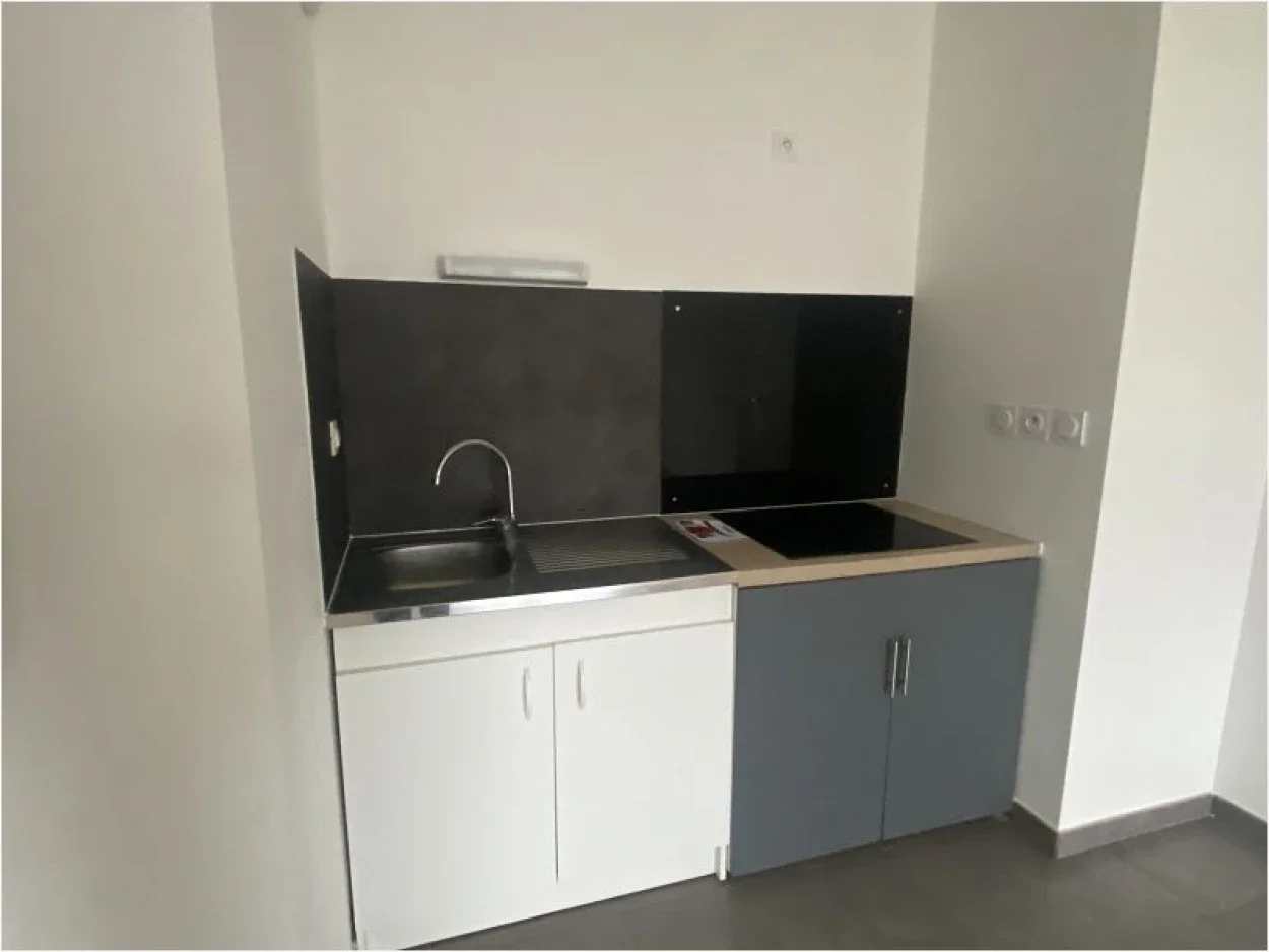 Appartement Rue Alexandre Dumas à Faches-Thumesnil