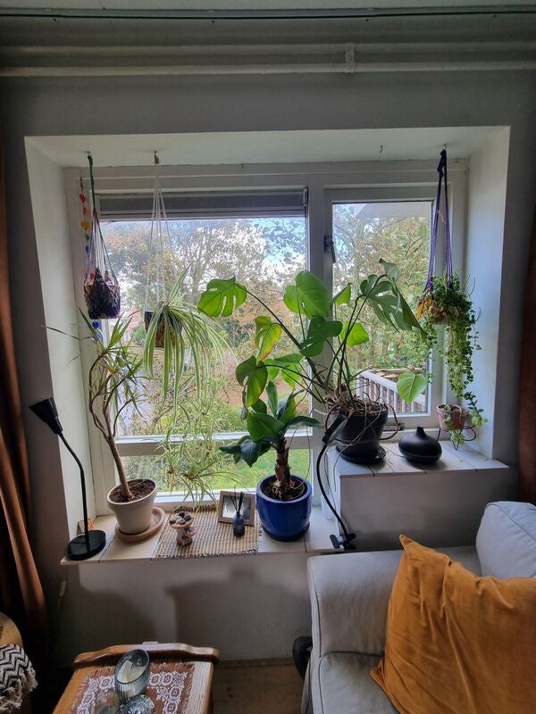 Appartement Nieuwstraat in Zandvoort
